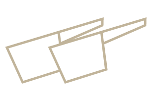 2 scoop icon