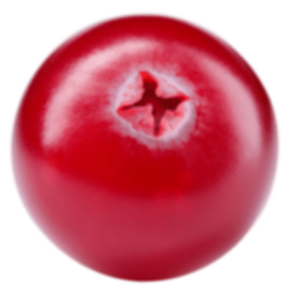 nutritech greens athletic greens powder greens reds golds superfood