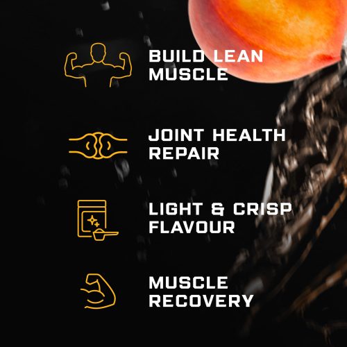 NUTRITECH CLEAR WHEY PROTEIN ISOLATE 500g - 20 Servings