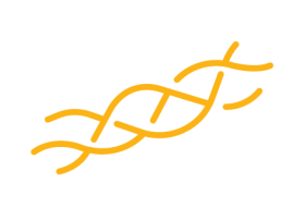 dna icon