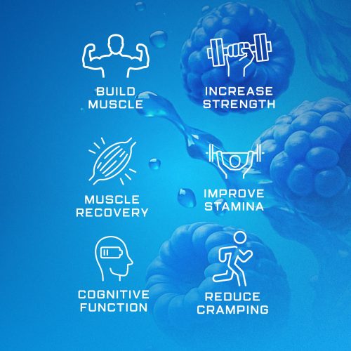 NutriTech-flavoured-creatine-monohydrate-3-min NUTRITECH CREATINE MONOHYDRATE - FLAVORED - 100 Servings (500g)